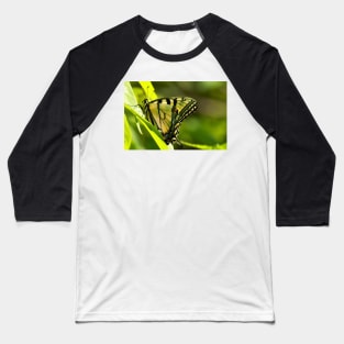 Eastern Tiger Baseball T-Shirt